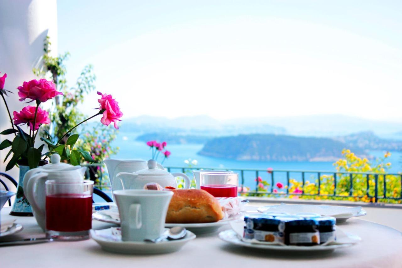 La Pergola Del Torchio Bed and Breakfast Ischia Buitenkant foto
