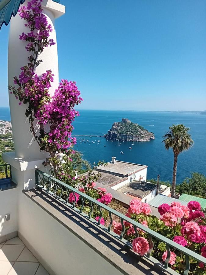 La Pergola Del Torchio Bed and Breakfast Ischia Buitenkant foto