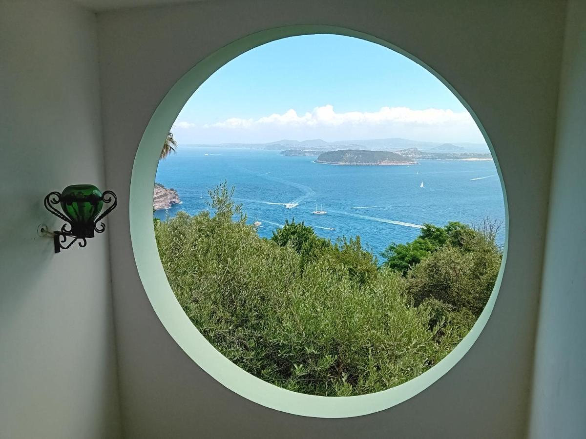 La Pergola Del Torchio Bed and Breakfast Ischia Buitenkant foto